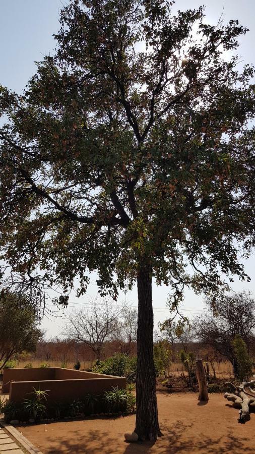פאלאבורווה Hornbills Rest Country Home מראה חיצוני תמונה
